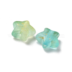 つや消しアクリルチャーム  金箔  スター  グラデーションカラー  緑黄  9x10x5mm  穴：1.6mm  約：2381個/ 500 G&nbsp;OACR-M023-04C
