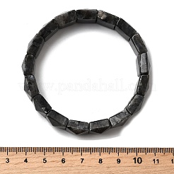 Natural Larvikite Beads Stretch Bracelets for Women Men&nbsp;BJEW-C097-06-06