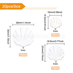 30個3サイズ天然淡水シェルビーズ  ホタテの形  乳白色  10pcs /サイズ&nbsp;SHEL-BC0001-008