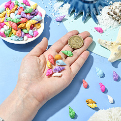500Pcs Dyed Natural Spril Shell Beads&nbsp;SSHEL-SC0001-33
