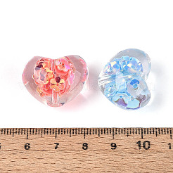 Transparent Resin Beads&nbsp;RESI-T060-43M