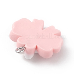 Opaque Resin Pendants&nbsp;RESI-D064-02P-01