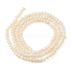 天然養殖淡水パールビーズ連売り  ポテト  グレード4a+  雪  2~3mm  穴：0.5mm  約161~173個/連  15.08~15.35''（38.3~39センチメートル）&nbsp;PEAR-L034-14B