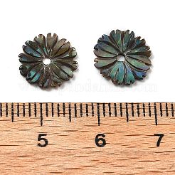 Natural Paua Shell Carved Beads&nbsp;SSHEL-Z002-04