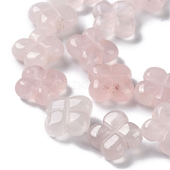 Natural Rose Quartz Beads Strands&nbsp;G-M418-D07-01
