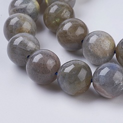 Natural Labradorite Beads Strands&nbsp;X-G-G212-10mm-23