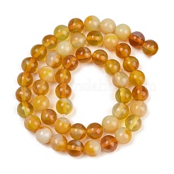 Handmade Lampwork Beads Strand&nbsp;LAMP-B056-8mm-08