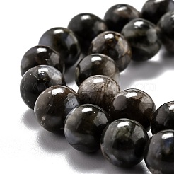 Natural Glaucophane Beads Strands&nbsp;G-O199-01C