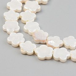 電気メッキ天然淡水シェルビーズ連売り  花  貝殻色  10.5x11x3mm  穴：0.8mm  約35個/連  14.84インチ〜14.96インチ（37.7cm〜38cm）es（37.7cm〜38cm）&nbsp;X-SHEL-T017-08