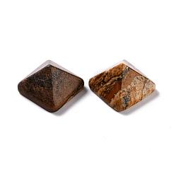 Natural Picture Jasper Cabochons&nbsp;G-G759-Y10