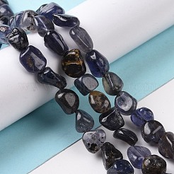 Natural Iolite Beads Strands&nbsp;G-A208-09