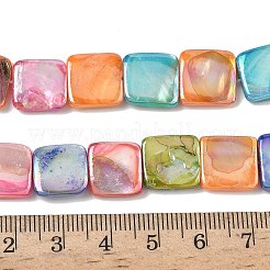 Natural Freshwater Shell Beads Strands&nbsp;SHEL-K006-54