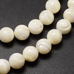 天然石シェルビーズ連売り  ラウンド  3.7~4.5mm  穴：0.8mm  約103個/連  15.86インチ（40.3cm）&nbsp;X-SSHEL-E571-39-4mm