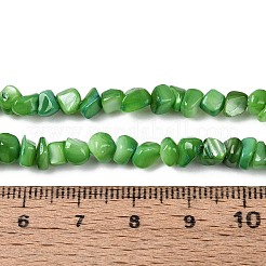 天然淡水シェルビーズ連売り  ナゲット  染め  ミディアムシーグリーン  0.5~8x3~7x3~7mm  穴：1mm  約86~108個/連  14.76~15.16インチ（37.5~38.5cm）&nbsp;SHEL-N037-04J