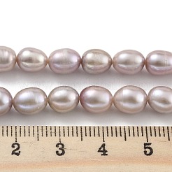 Natural Cultured Freshwater Pearl Beads Strands&nbsp;PEAR-P062-08J