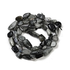 Natural Eagle Eye Stone Beads Strands&nbsp;G-Q060-D06