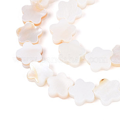 天然淡水シェルビーズ連売り  花  貝殻色  8x8x2.5mm  穴：0.6mm  約46~48個/連  14.96インチ（38cm）&nbsp;SHEL-S276-111A
