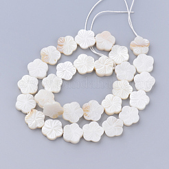 天然淡水シェルビーズ連売り  花  乳白色  12~13x12~13x2~3.5mm  穴：1mm  約29~30個/連  14.37インチ&nbsp;X-SHEL-T001-A01