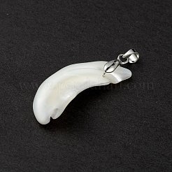 Natural Trochid Shell/Trochus Shell Pendants&nbsp;SSHEL-M021-13