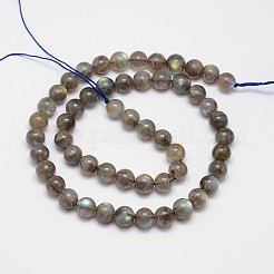 Natural Labradorite Round Bead Strands&nbsp;G-M262-6mm-09