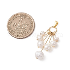 Natural Cultured Freshwater Pearl Graduated Beaded Pendants&nbsp;PALLOY-JF05050