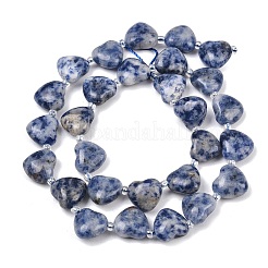 Natural Blue Spot Jasper Beads Strands&nbsp;G-NH0069-A08