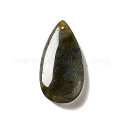 Natural Labradorite Pendants&nbsp;G-F731-04E