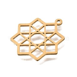 201 Stainless Steel Pendants&nbsp;STAS-S176-19G