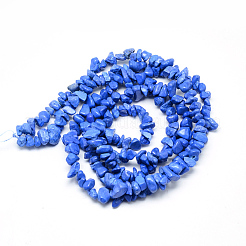 Synthetic Turquoise Beads Strands&nbsp;X-G-R002-09