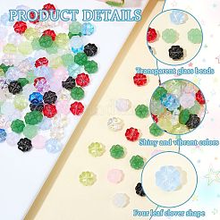 150Pcs 15 Bags Handmade Transparent Lampwork Beads&nbsp;GLAA-SZ0002-28