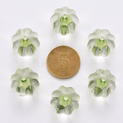 Transparent Acrylic Beads&nbsp;TACR-S154-19A-83