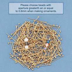 304 Stainless Steel Head Pins&nbsp;A-STAS-P227-12G