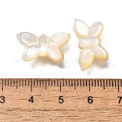 ナチュラルホワイトシェルビーズ  蝶  乳白色  10.5x19x4.5mm  穴：0.9mm&nbsp;BSHE-Z008-02