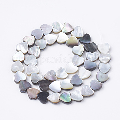 Natural Black Lip Shell Beads Strands&nbsp;SSHEL-Q298-11