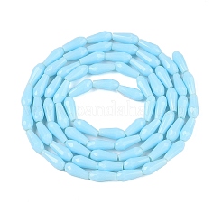 Opaque Solid Color Glass Beads Strands&nbsp;GLAA-T009-001I