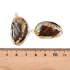 Natural Paua Shell Pendants&nbsp;SSHEL-N038-18A