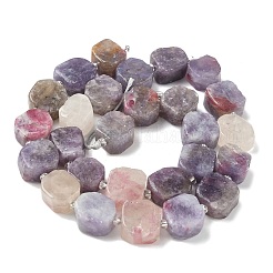 Natural Plum Blossom Tourmaline Beads Strands&nbsp;G-I394-D18