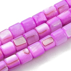 天然淡水シェルビーズ連売り  染め  コラム  ミックスカラー  4~5.5x5mm  穴：0.6mm  約74~75個/連  14.76~14.96インチ（37.5~38cm）&nbsp;SHEL-F008-04