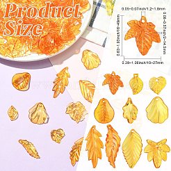透明アクリルパーツ 50g  葉  オレンジ  16~49x10~27.5x2~14.5mm  穴：1.2~1.8mm&nbsp;TACR-CJC0005-05