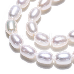 Natural Cultured Freshwater Pearl Beads Strands&nbsp;PEAR-N012-04H