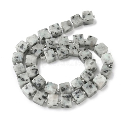Natural Sesame Jasper Beads Strands&nbsp;G-D338-A20