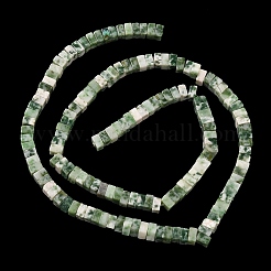 Natural Green Spot Jasper Beads Strands&nbsp;G-A280-C14-01