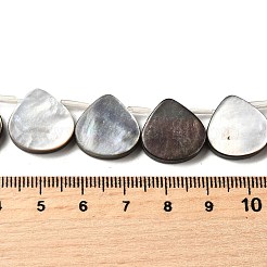 Natural Black Lip Shell Beads Strands&nbsp;BSHE-D300-08