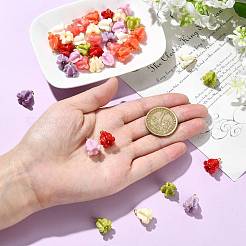 8色染め合成珊瑚ペンダント40個  真鍮のバチカン付きの花のチャーム  ゴールドカラー  ミックスカラー  15mm  穴：2.6mm  5個/カラー&nbsp;PALLOY-YW00236