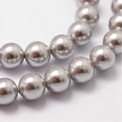Shell Pearl Beads Strands&nbsp;BSHE-L026-05-6mm