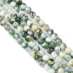 天然石ツリーアゲート瑪瑙ビーズ連売り  ラウンド  6mm  穴：1mm  約60個/連  14.5~14.8インチ&nbsp;X-G-K194-6mm-02
