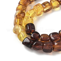 Natural Amber Beads Strands&nbsp;G-L095-E01-02