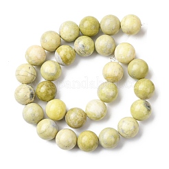 Natural Lemon Jade Beads Strands&nbsp;G-H343-D01-14mm