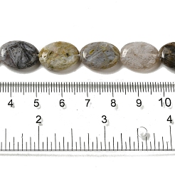 天然石バンブーアゲート竹葉瑪瑙ビーズ連売り  フラットオーバル  16x12~12.5x4.5~5mm  穴：1mm  約25個/連  15.35~15.47''（39~39.3センチメートル）&nbsp;G-NH0014-B01-02