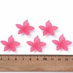 Transparent Acrylic Beads&nbsp;MACR-S373-127-D01